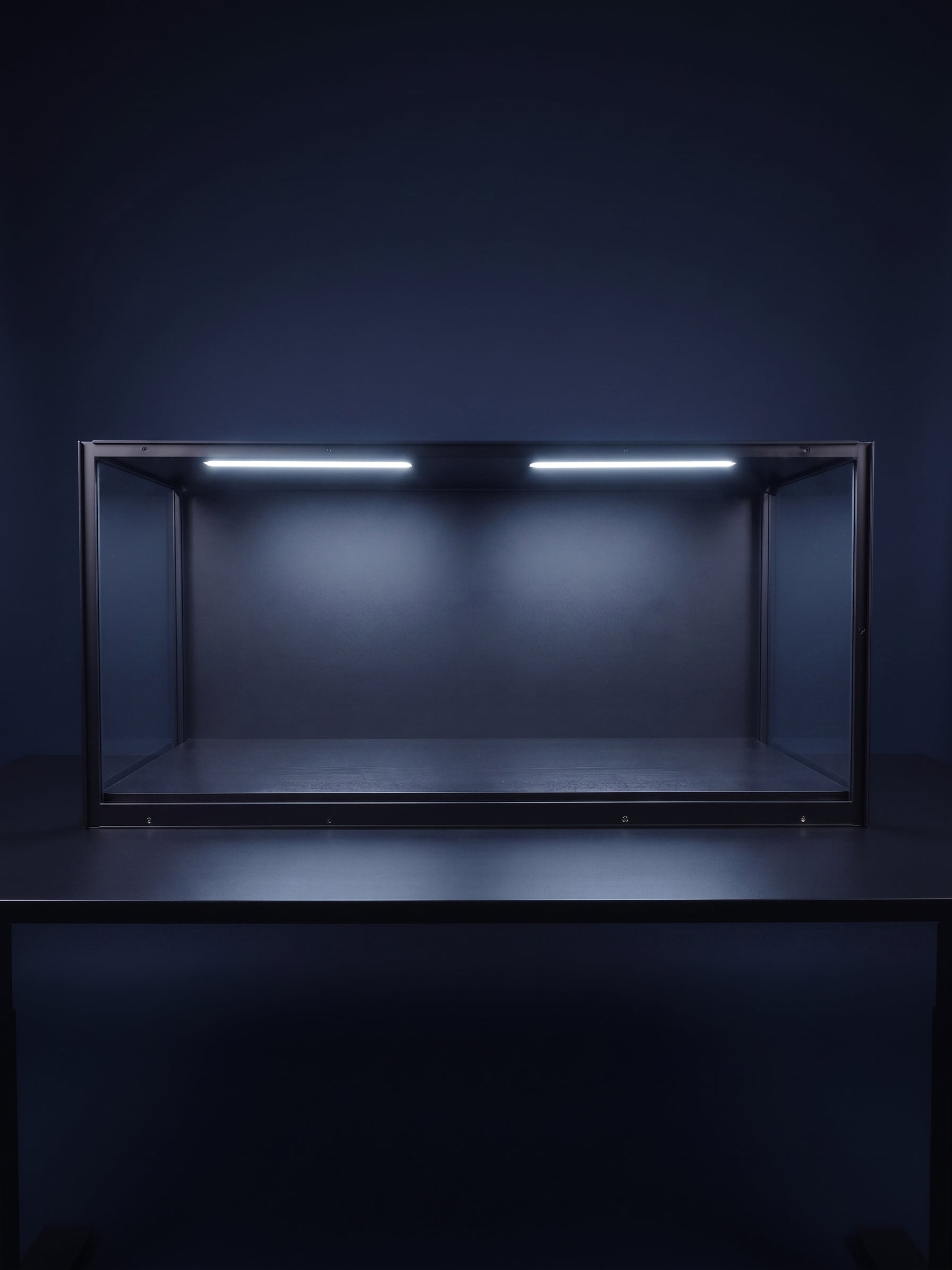 Modular Acrylic Display Cases for Collectibles – MODUSPACE